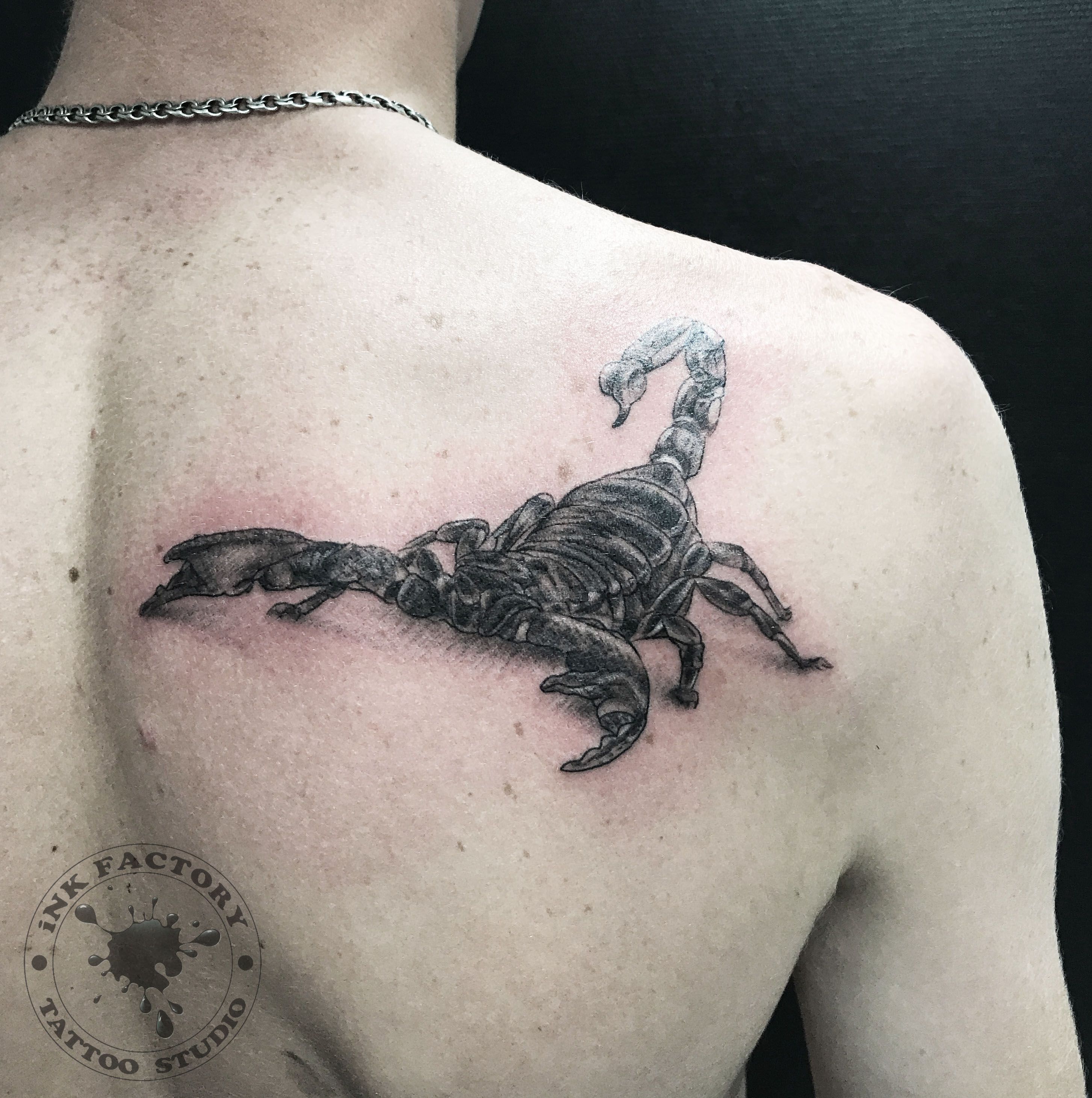 Скорпион на плече 